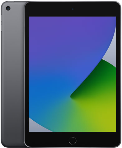 iPad mini (5e génération)