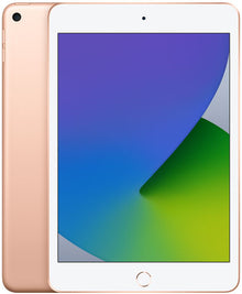 iPad mini (5th Gen)